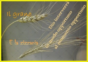 Mani in pasta con lievito Lievito e pasta